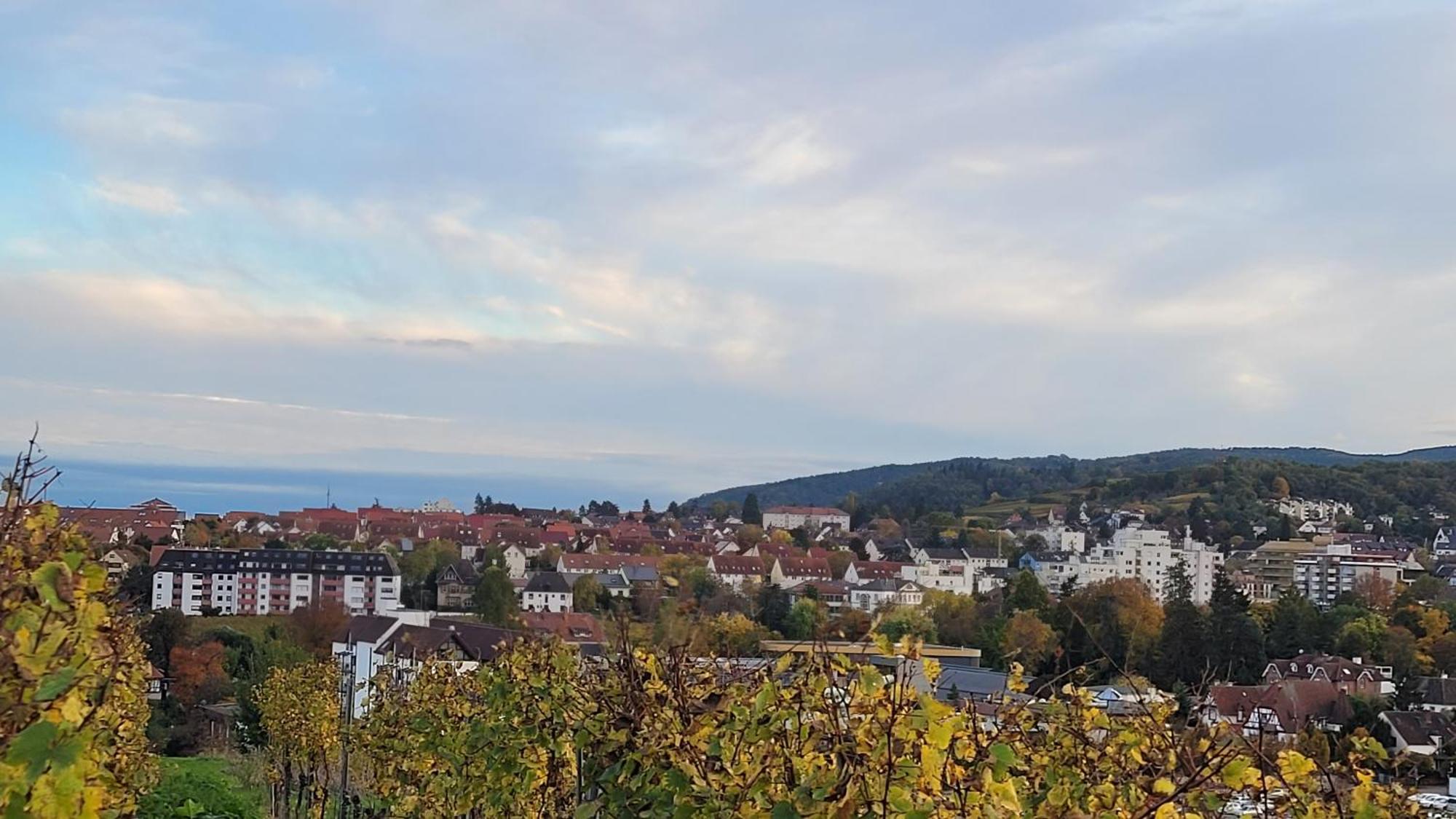 Ihr Bett Mit Blick Auf Die Weinberge Бад-Дюркгайм Екстер'єр фото