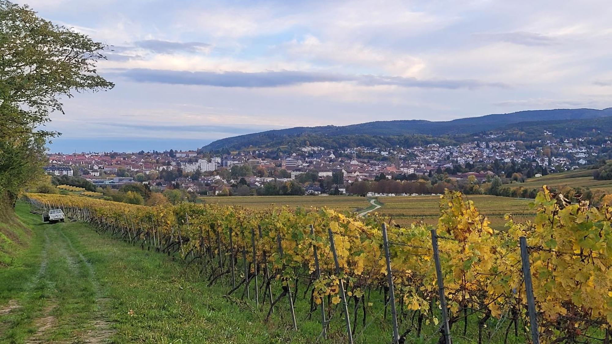 Ihr Bett Mit Blick Auf Die Weinberge Бад-Дюркгайм Екстер'єр фото